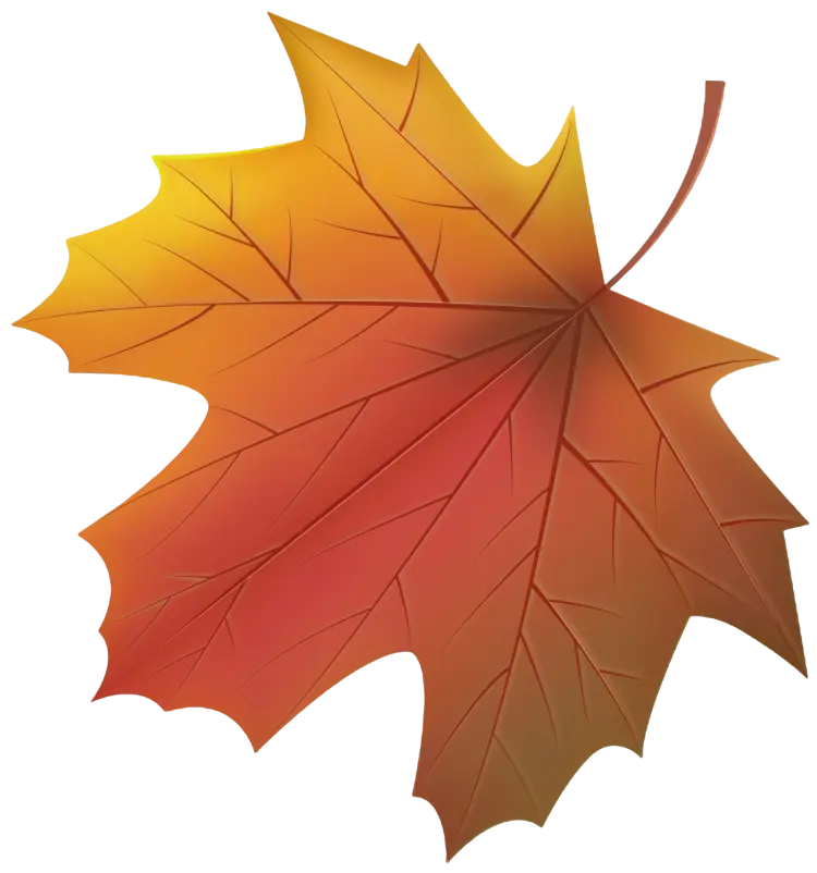 A Leaf